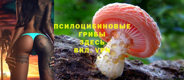 PSILOCYBIN Баксан