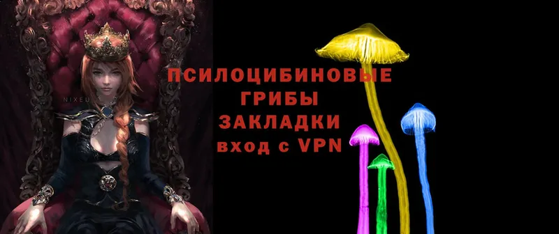 Псилоцибиновые грибы Psilocybe  blacksprut зеркало  Бугуруслан 